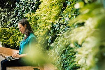 Our Sustainability story - women working on laptop on bench surrounded by green hedges