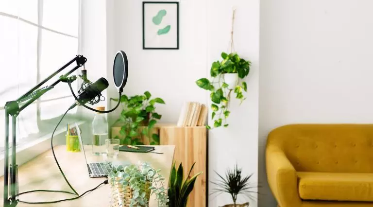 Empty office with plants on the desk, and a microphone set up ready to record a podcast